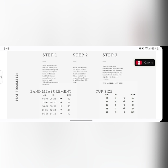 Sokoloff Lace Bra - Picture 8 of 8